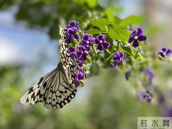 太精辟了！人生有六种恩情，终生不能忘