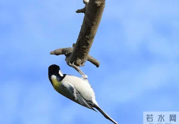 女人好不好追,这样称呼她就明白了