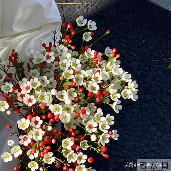 “想让男人心疼亏欠你,就要这么说”