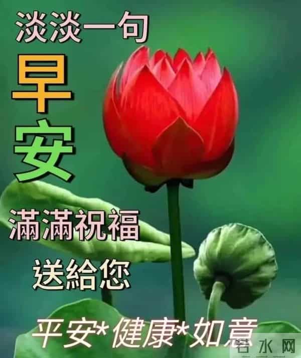 2025年11月27日早上好 早安精美图片 温馨祝福 周四愉快 今日好心情