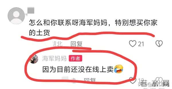 谢妈买新车 海军妈孤单在家 她耐心回复网友问题 偶尔农场有家人帮忙