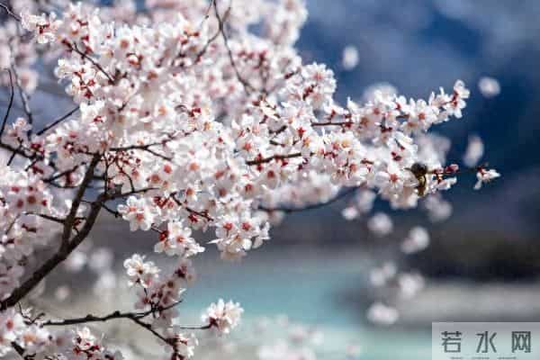 男女关系铁律:“对方不爱你的原因,只有这一个”