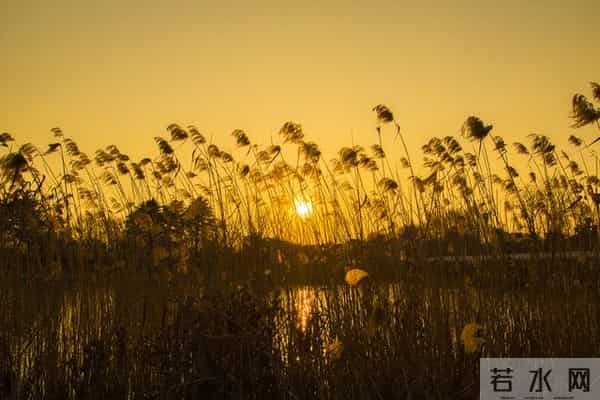 “一辈子都写不出的神仙句子,我帮你整理了28句,喜欢自取”