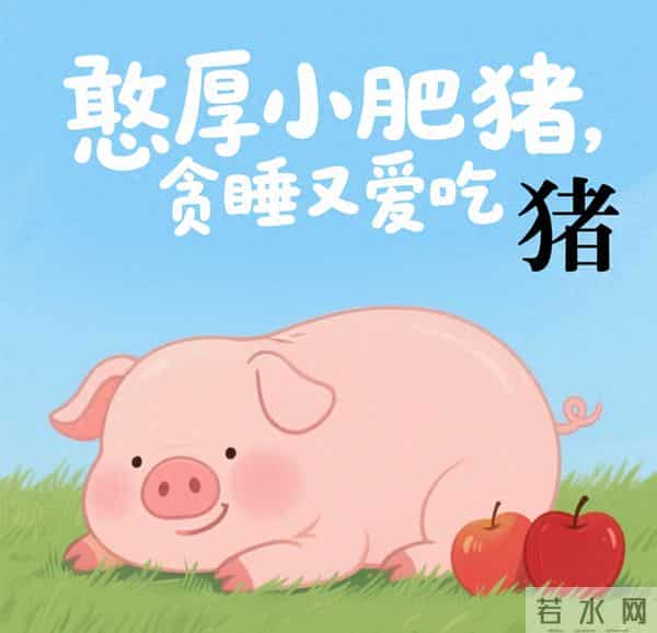 11月27号至30号下半月属相:亥猪