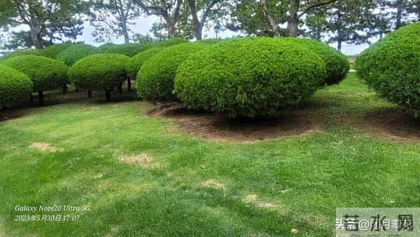 半生风雨半生悟：释怀才是人生的解药