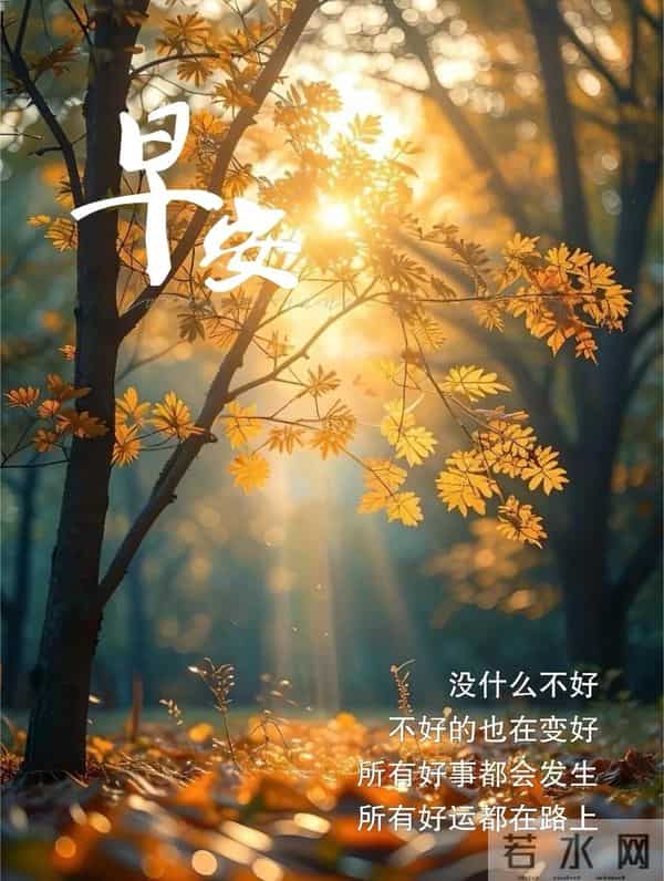 11月27日早上好 早上好清新淡雅图片 早安问候图片最新今天