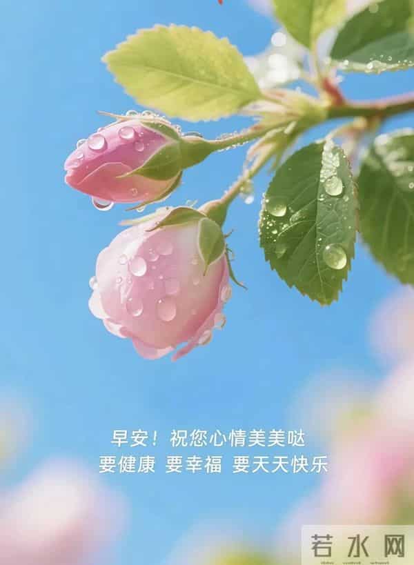 2025年11月28日,星期五,农历十月九,早安吉祥祝福语!