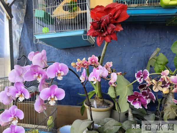 人到五六十才想通：最好的活法，不是“攒钱”，而是“会花钱”！