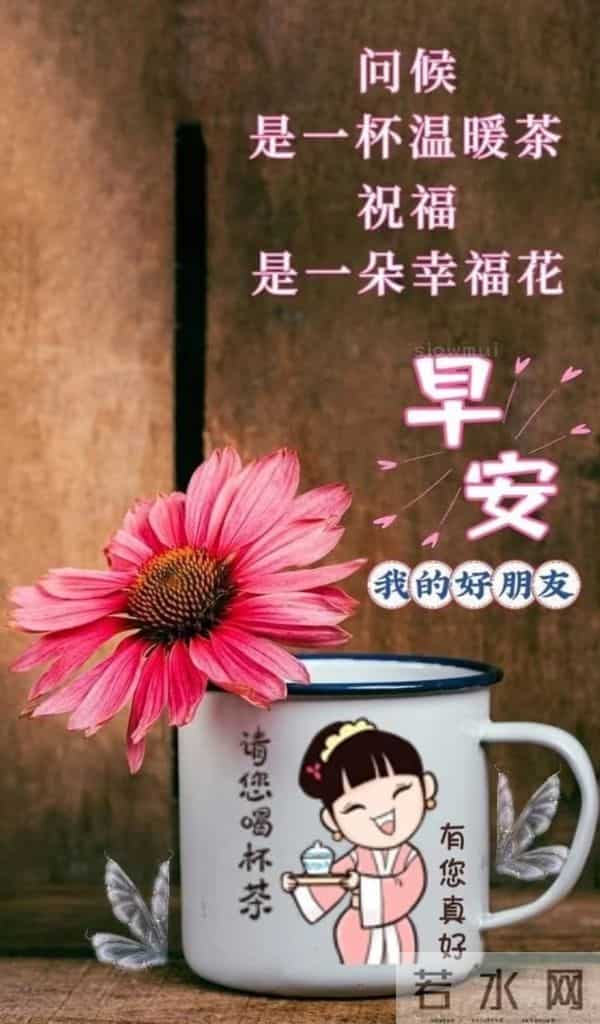 与晨光相拥,道一声温柔早安