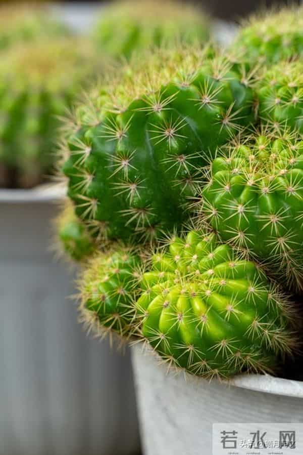 致所有爸妈:愿娃一生,平安有底气,顺遂有光亮