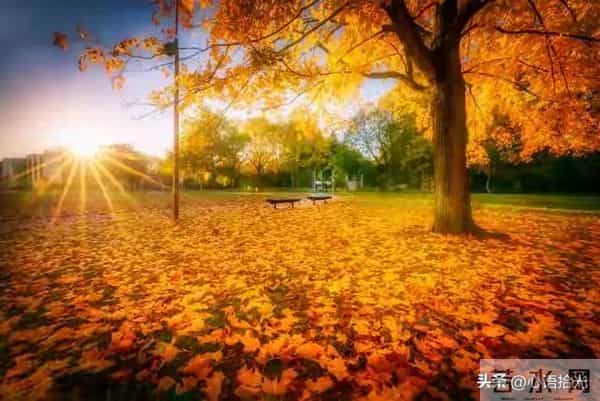 两性关系:步入晚年,女人无法抗拒的三个男人习惯,你家那位有吗