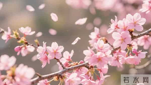 活到四十才懂，别人的嘴是砒霜还是空气全看你心态