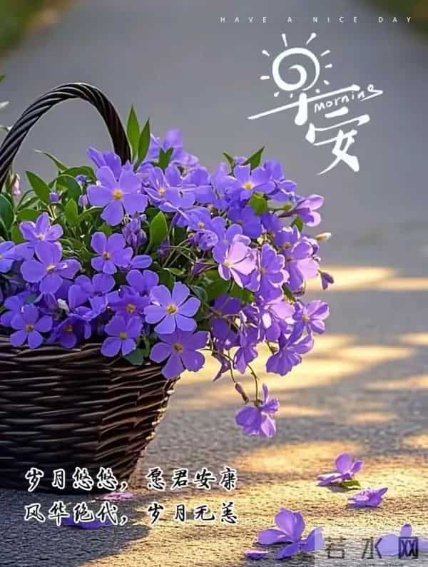 2025年11月27日感恩节早上好 精美图片送问候 感恩有你 今日幸福满满