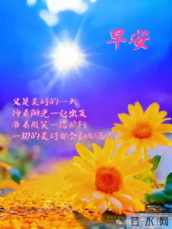 早安这样发,句句高级,让你朋友圈访客暴涨!