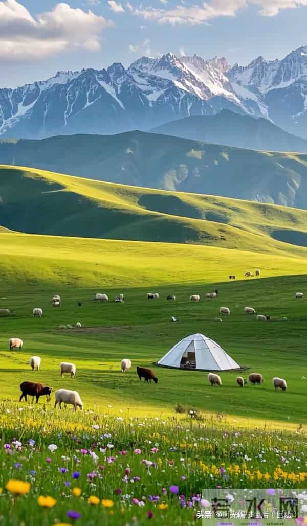 心有清静,万物生长:与生活温柔周旋的智慧