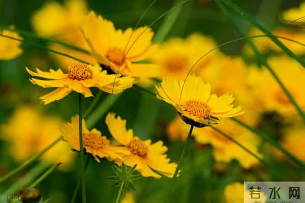 夫妻的醒悟:没有第三者,再大的矛盾都能解决