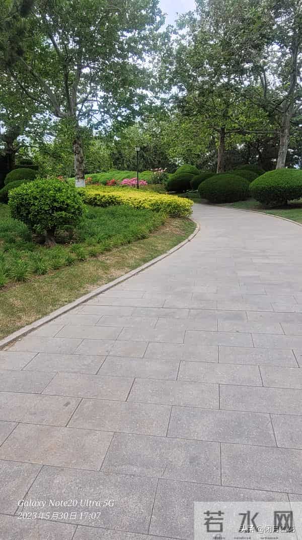 半生风雨半生悟：释怀才是人生的解药