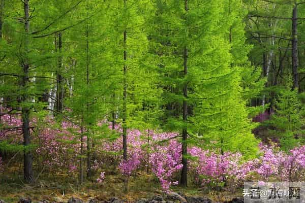 女人到了中年要明白：其实爱不爱已经不重要了，男人而已