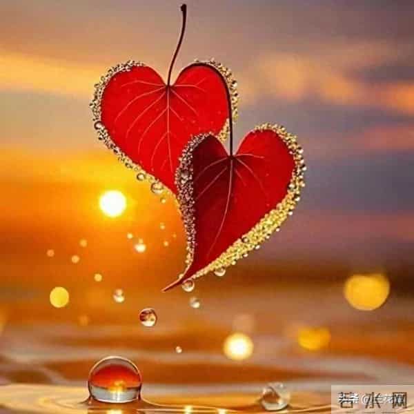 别不信，千万不要和任何人关系太好，走太近