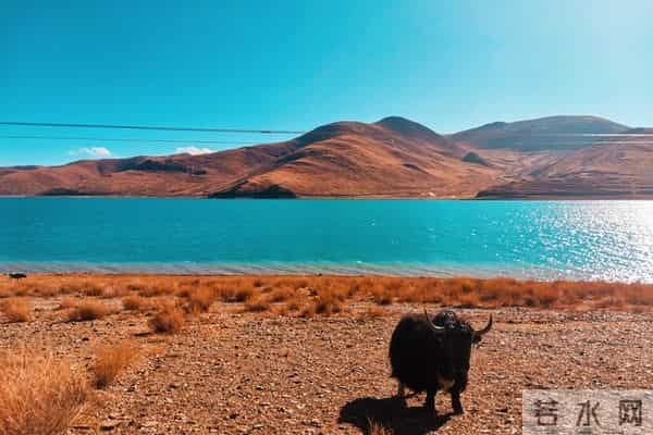 人生最大的忌讳，就是太过追求圆满