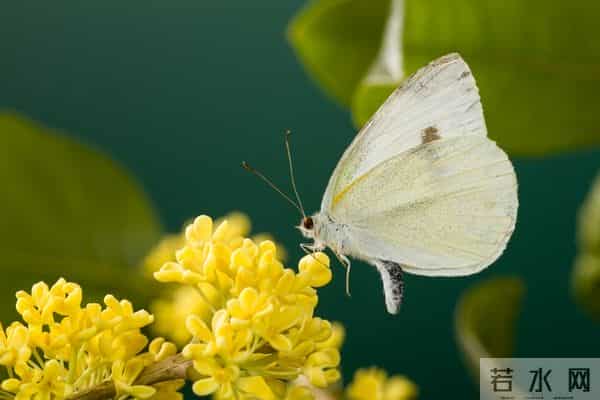 一段婚外情,留给男人的和女人的3个不同结局。