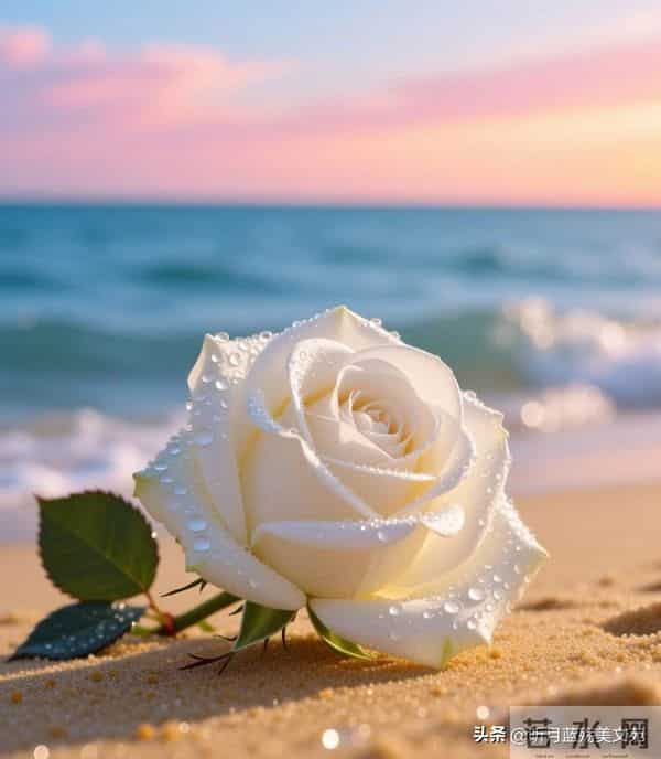 最暖心的情话,写给灵魂爱人