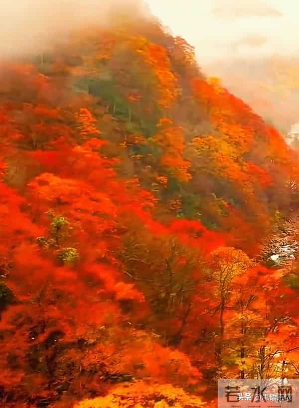 情感：婚后女人最怕男人触碰的三个底线，最后一点太真实了