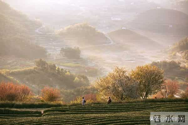 是天意有意让你看到此文，你命中有的早晚都会到你手中