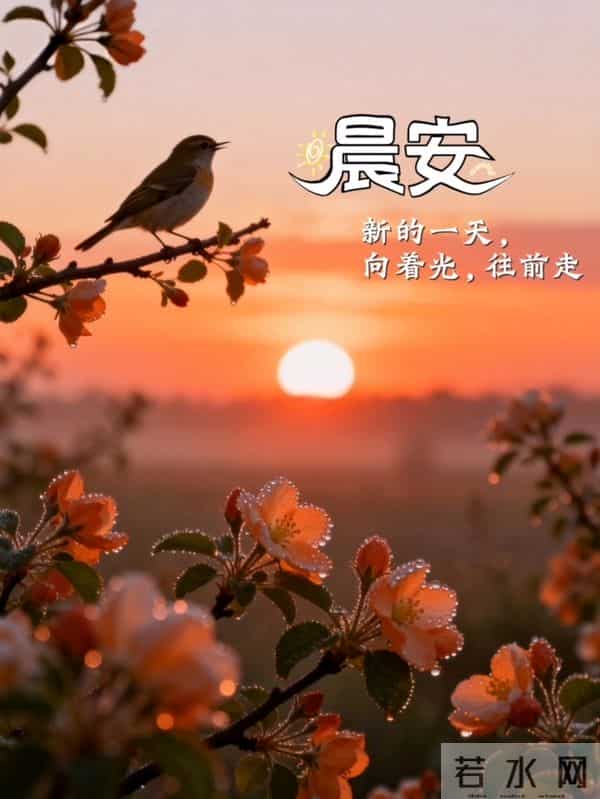 知恩于心,感念于行,常怀感恩,以心汇暖,让感恩铺满初冬的晨光