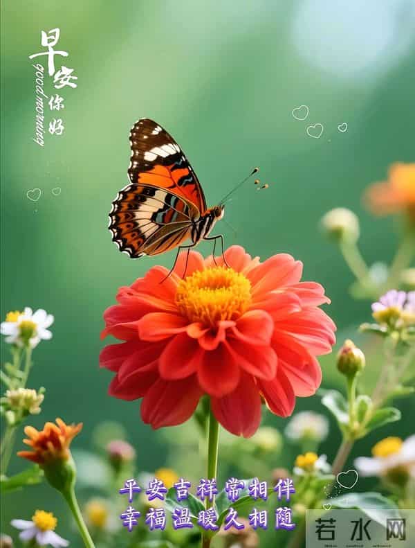 2025年11月27日，星期四，农历十月初八，早安吉祥祝福语！