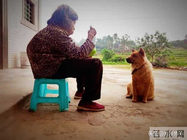 有这样的老人，简直就是儿女们的灾难，换做是谁，谁也扛不住！