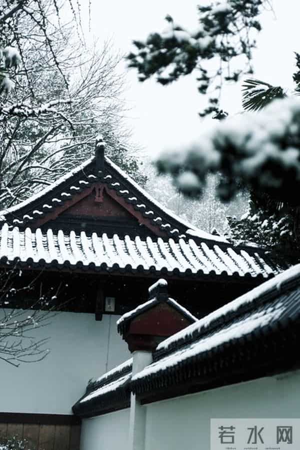 妹妹让我凌晨4点送她去机场老公却拽住我：别去，她刚发了动态！