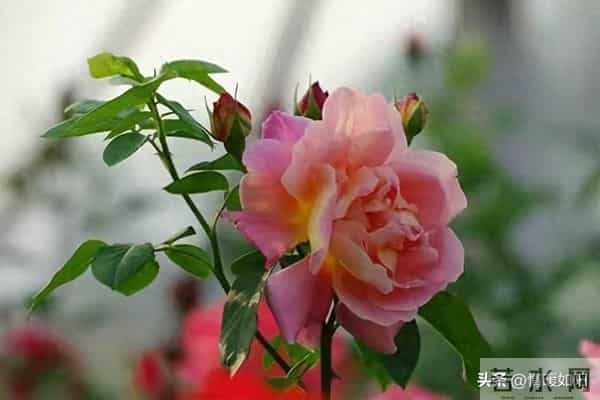 关系再亲密，女人身上也有2个“禁区”，男人千万别碰！