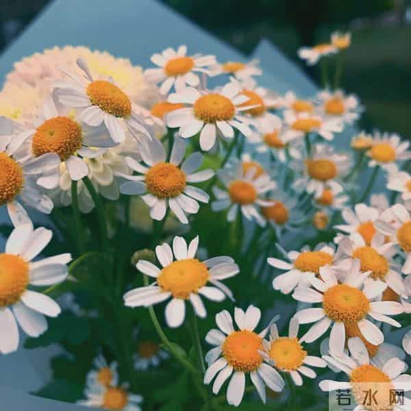 护着你，宠着你，把你宠成我一生的宝贝