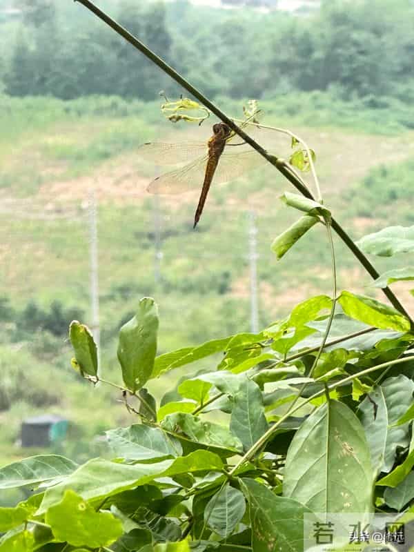 深夜里,无处可诉的一点心里话