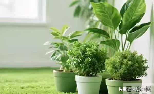 女人想男人的程度，我不再装了，男人根本想象不到