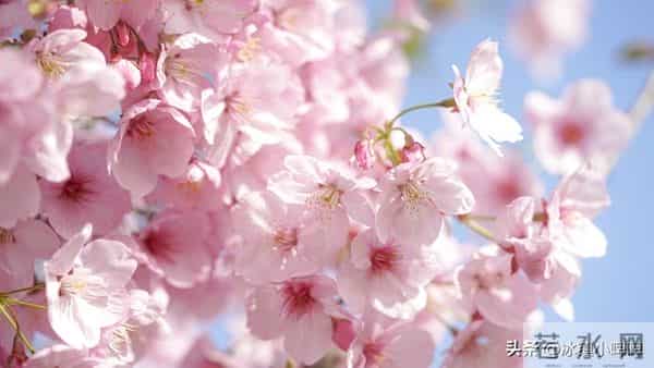 征服一个男人,三方面干净一点,更让他痴迷