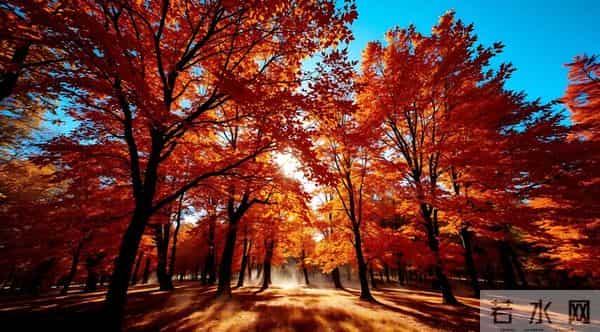 和兄弟姐妹翻脸后,还要不要来往?一“过来人”的答案,字字扎心