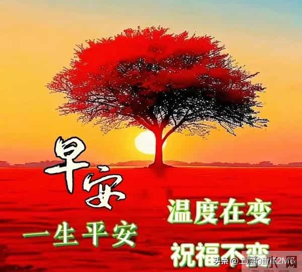 早安!新的一天,阳光灿烂,愿你一生平安,幸福快乐永远追随!
