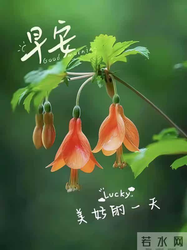 2025年11月27日，星期四，农历十月初八，早安吉祥祝福语！