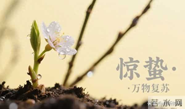 从明天起,你的人生将开启全新篇章,信不信由你!