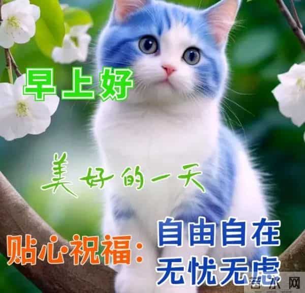 心若放宽,处处是晴天。不必仰望别人,自己亦是风景。周四早安!