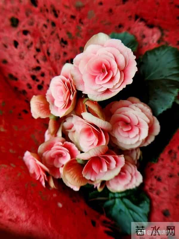 揭秘：女人喜不喜欢你，看她抗不抗拒这几个动作就够了