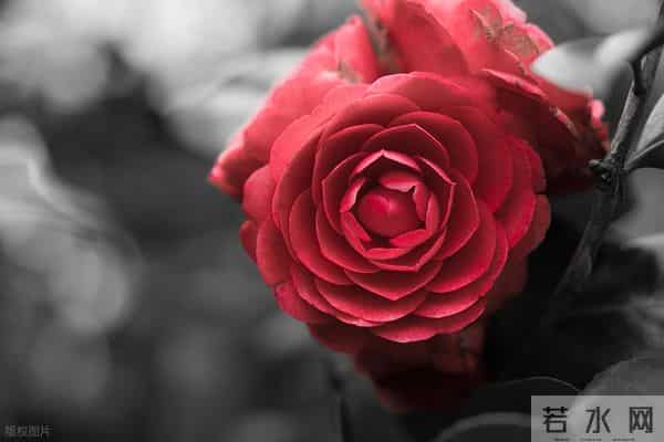 伤着伤着就醒悟了：男人心里没你， 才会对你做这些事