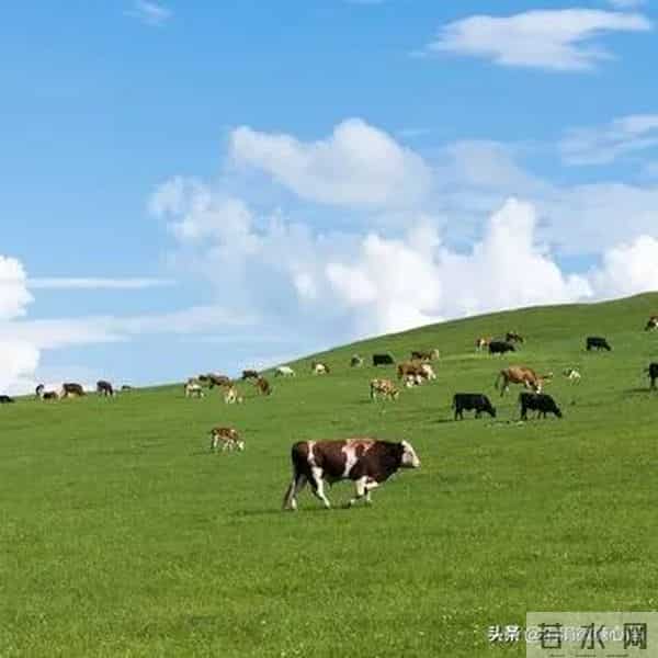 两性关系：为什么退休后夫妻之间，比年轻时更容易发生争吵？