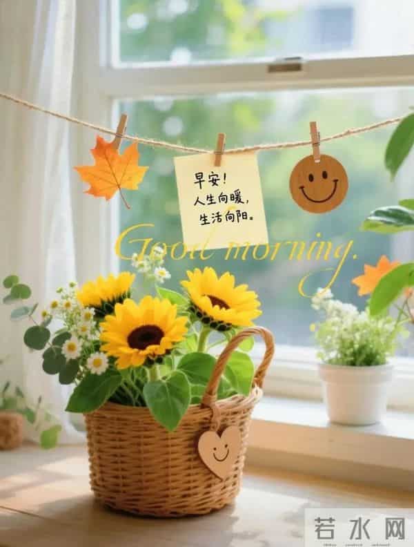 9张特漂亮大家早上好图片,万事如意,吉祥安康!