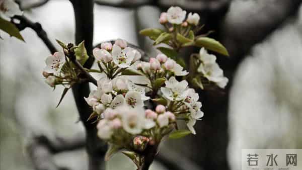 退休跟前夫离婚被儿子说自私,5200退休金不帮他,余生只想活自己