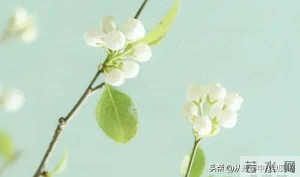 有人疯狂想着你时，你是有感应的