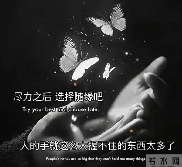 尽力之后,选择随缘吧,人的手就这么大,握不住的东西太多了...