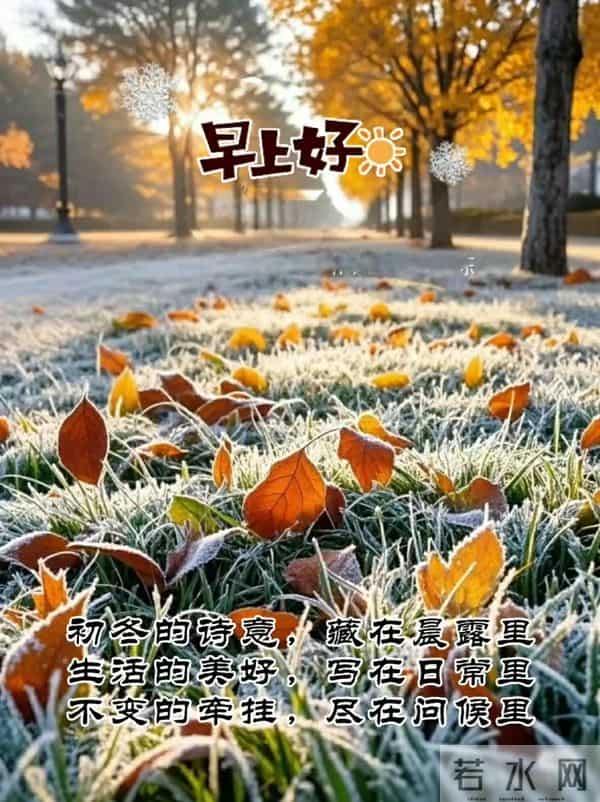 早上好早安祝福美图-岁月无恙，今冬安祥